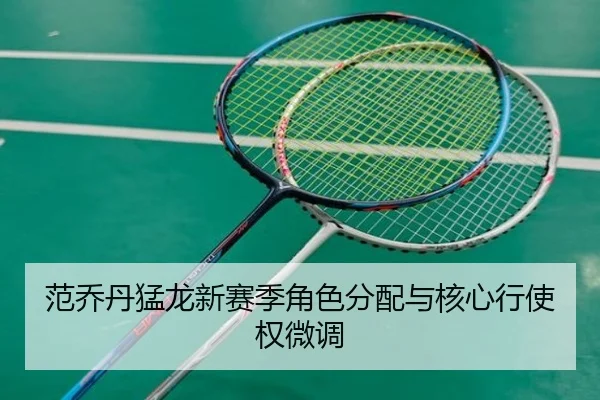 范乔丹猛龙新赛季角色分配与核心行使权微调