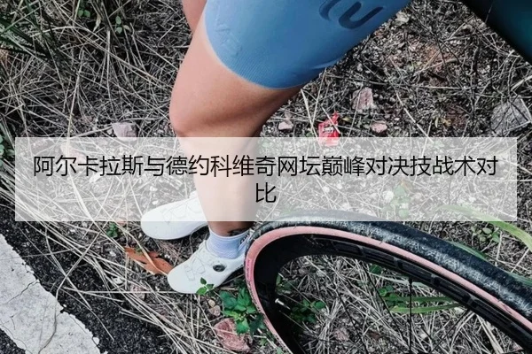 阿尔卡拉斯与德约科维奇网坛巅峰对决技战术对比